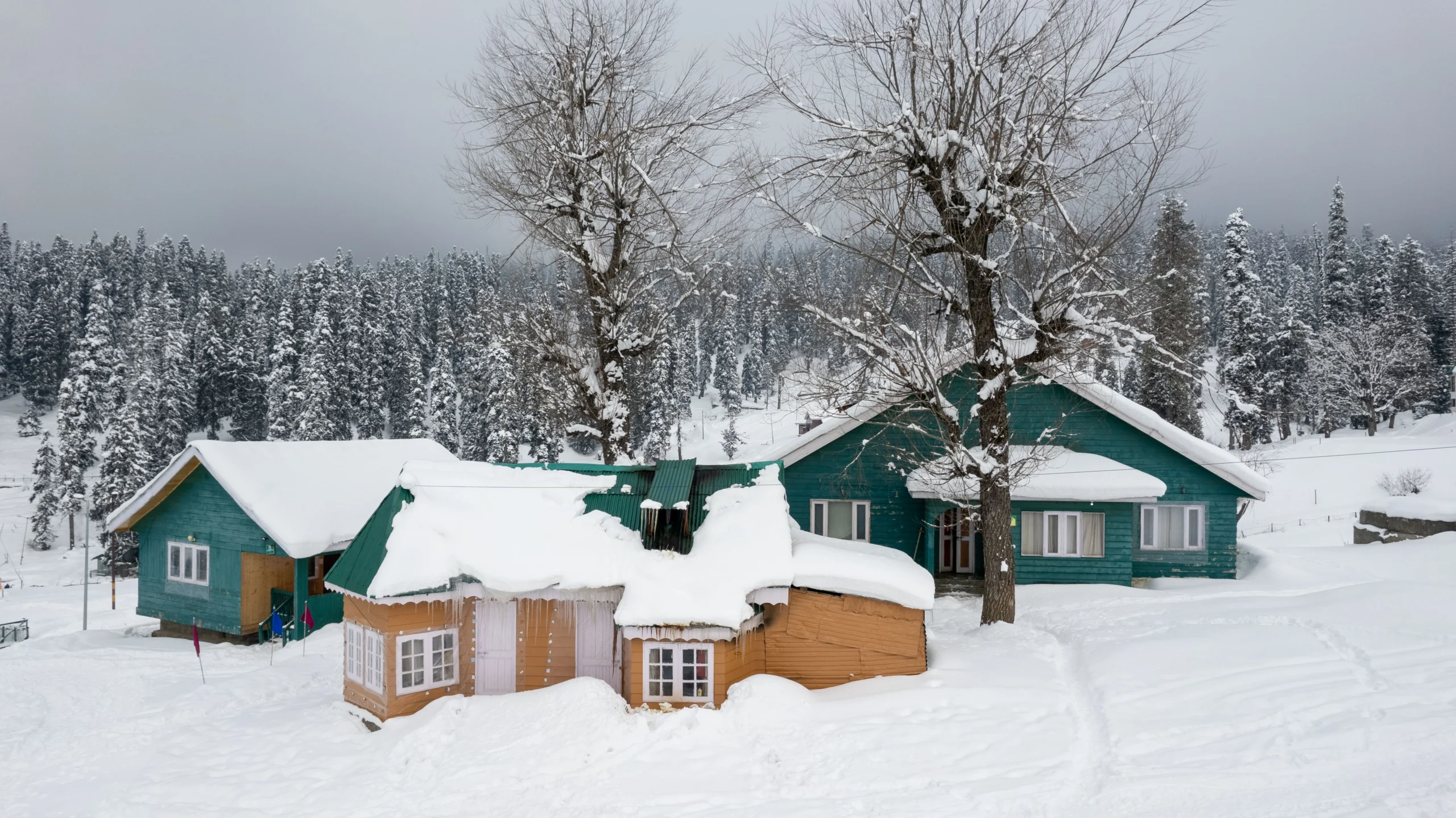 Kashmir in Winter: Is It Worth the Cold for Snow and Houseboats 1 best time to visit Kashmir