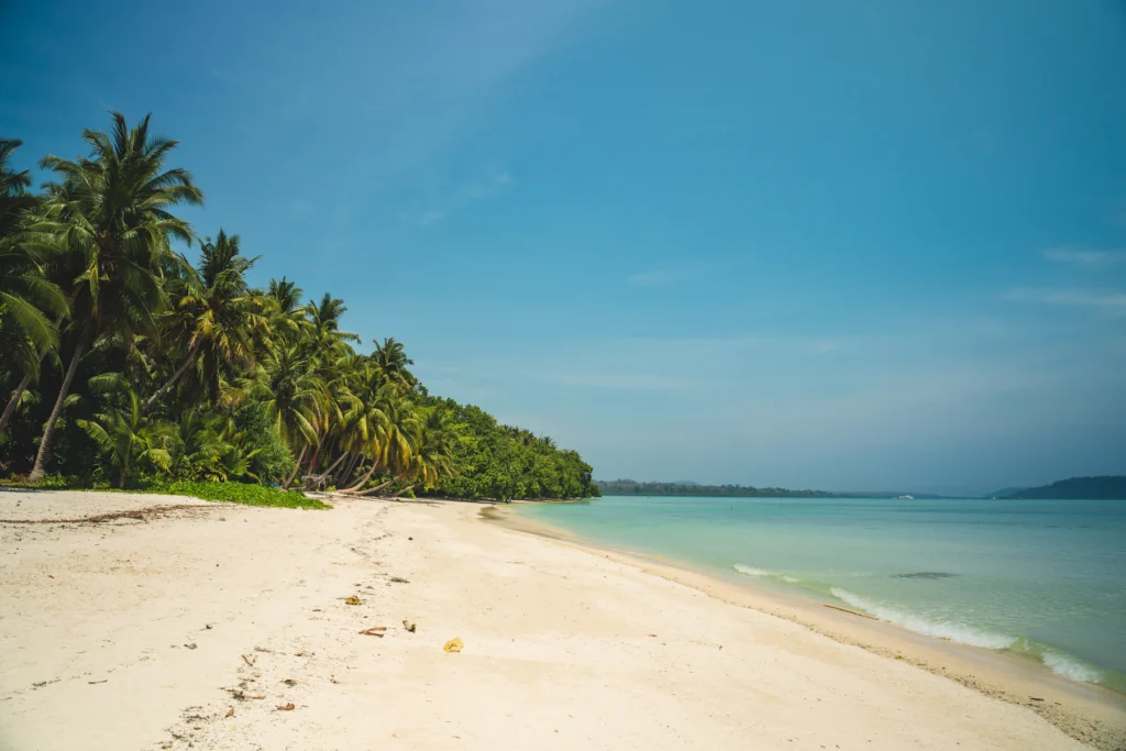 Best Time to Visit Andaman: A Month-by-Month Guide 5 Palm-lined white sand beach in the Andaman Islands