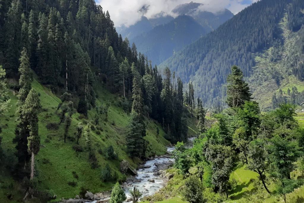 Kashmir Trip Cost from India (2026–27): What a 7-Day Trip Really Costs a Couple 3 The river through Aru Valley near Pahalgam with pine forest and mountains