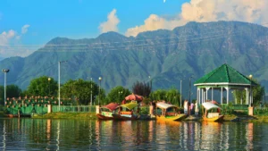 Boats along the Dal Lake shore in Srinagar