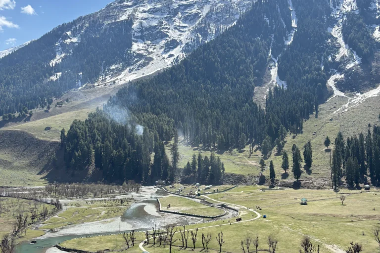 Kashmir 5 The Lidder river valley near Pahalgam