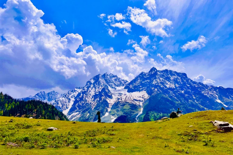 Kashmir 6 Snow peaks above the meadows of Sonamarg