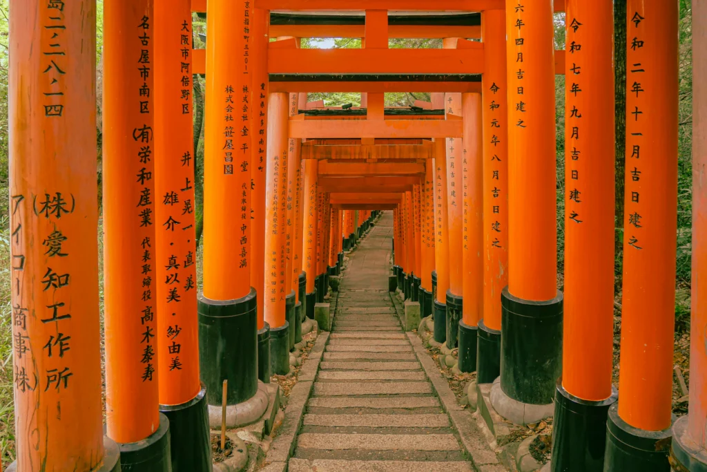 Best Time to Visit Japan from India: Cherry Blossom, Autumn and Snow 4 Rows of orange torii gates in Kyoto
